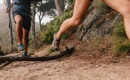 Bieganie w terenie: Odkryj przyjemność i wyzwania biegów poza asfaltem